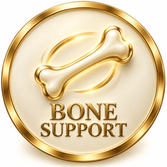 Bone Support